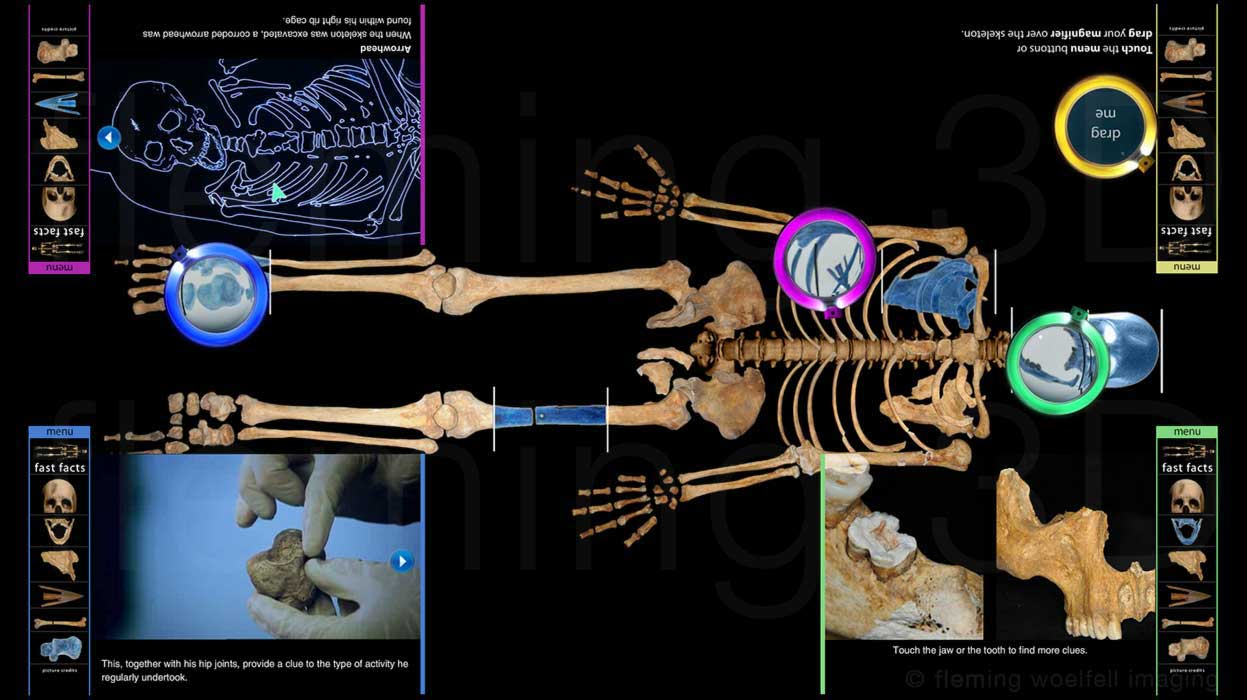 Stirling skeleton touchscreen videos